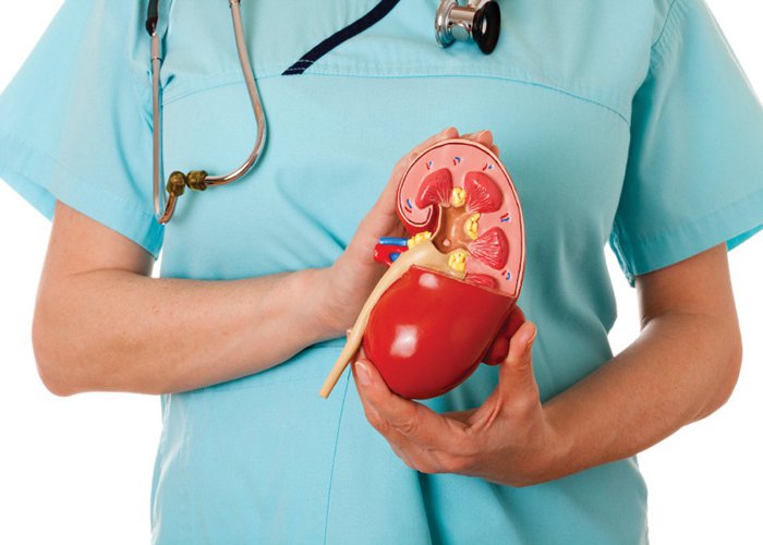 Best Multi speciality Hospital in Rohtak,Best Multi speciality Hospital in Haryana,Best nephrology hospitals in Haryana,Best nephrology doctors in Haryana,Nephrology specialists in Haryana,Best nephrologists in Haryana,Nephrology treatments in Haryana,Gynaecology hospitals in Haryana,Best gynaecology hospitals in Haryana,Best Obstetrics and gynaecology hospitals in Haryana,Best Obstetrics and gynaecology doctors in Haryana,gynaecology treatments in Haryana,best Gynaecologists in Haryana,Best obstetric specialist in Haryana,High pregnancy risk specialists in Haryana,Polycyst Ovarian Disease treatments in Haryana,Prenatal and Antepartum Care in Haryana,Best Gynaecology Caesarean hospitals in Haryana,Premature Rupture treatments in Haryana,Vaginal Infections specialist in Haryana,Best general surgeons in Haryana,Best gallbladder laparoscopic surgeons in Haryana,Advanced Laparoscopic and General Surgery in Haryana,Laparoscopic Treatments in Haryana,Best urology hospitals in Haryana,Best urology doctors in Haryana,Urology specialists in Haryana,Urology treatments in Haryana,best kidney care transplant hospitals in Haryana,chronic kidney disease treatment hospitals in Haryana,kidney dialysis hospitals in Haryana,best kidney care doctors in Haryana,Renal transplantation in Haryana,Paediatrics specialists in Haryana,Children's paediatrics in Haryana,best children's hospitals in Haryana,best paediatric hospital in Haryana,best paediatric doctor in Haryana,best nicu centres in Haryana,best picu centres in Haryana,Best Pulmonologists  in Haryana,Best Pulmonology Hospitals in Haryana,Best Orthopaedicians in Haryana,best Knee Replacement surgeons in Haryana,best Total Hip Replacement in Haryana,Best arthritis doctor in Haryana,Cosmetic Surgery Clinics in Haryana,Best Plastic Surgeons in Haryana,Skin care treatments in Haryana,Cosmetology hospitals in Haryana,Gastroenterologists in Haryana,Best Gastroenterology Hospital in Haryana,Best Gastroenterology Doctors in Haryana,Best ENT clinics in Haryana,best ent specialists in Haryana,Emergency care hospitals in Haryana,Best hospital for critical and emergency care in Haryana,Best Hospital for Kidney Stone removal in Haryana,Best Hospital for infertility in Haryana,Best Hospital for prostate problems in Haryana,Best Hospital for renal implantation in Haryana,Best Hospital for kidney problems in Haryana,Best nephrology hospitals in Rohtak,Best nephrology doctors in Rohtak,Nephrology specialists in Rohtak,Best nephrologists in Rohtak,Nephrology treatments in Rohtak,Gynaecology hospitals in Rohtak,Best gynaecology hospitals in Rohtak,Best Obstetrics and gynaecology hospitals in Rohtak,Best Obstetrics and gynaecology doctors in Rohtak,gynaecology treatments in Rohtak,best Gynaecologists in Rohtak,Best obstetric specialist in Rohtak,High pregnancy risk specialists in Rohtak,Polycyst Ovarian Disease treatments in Rohtak,Prenatal and Antepartum Care in Rohtak,Best Gynaecology Caesarean hospitals in Rohtak,Premature Rupture treatments in Rohtak,Vaginal Infections specialist in Rohtak,Best general surgeons in Rohtak,Best gallbladder laparoscopic surgeons in Rohtak,Advanced Laparoscopic and General Surgery in Rohtak,Laparoscopic Treatments in Rohtak,Best urology hospitals in Rohtak,Best urology doctors in Rohtak,Urology specialists in Rohtak,Urology treatments in Rohtak,best kidney care transplant hospitals in Rohtak,chronic kidney disease treatment hospitals in Rohtak,kidney dialysis hospitals in Rohtak,best kidney care doctors in Rohtak,Renal transplantation in Rohtak,Paediatrics specialists in Rohtak,Children's paediatrics in Rohtak,best children's hospitals in Rohtak,best paediatric hospital in Rohtak,best paediatric doctor in Rohtak,best nicu centres in Rohtak,best picu centres in Rohtak,Best Pulmonologists  in Rohtak,Best Pulmonology Hospitals in Rohtak,Best Orthopaedicians in Rohtak,best Knee Replacement surgeons in Rohtak,best Total Hip Replacement in Rohtak,Best arthritis doctor in Rohtak,Cosmetic Surgery Clinics in Rohtak,Best Plastic Surgeons in Rohtak,Skin care treatments in Rohtak,Cosmetology hospitals in Rohtak,Gastroenterologists in Rohtak,Best Gastroenterology Hospital in Rohtak,Best Gastroenterology Doctors in Rohtak,Best ENT clinics in Rohtak,best ent specialists in Rohtak,Emergency care hospitals in Rohtak,Best hospital for critical and emergency care in Rohtak,Best Hospital for Kidney Stone removal in Rohtak,Best Hospital for infertility in Rohtak,Best Hospital for prostate problems in Rohtak,Best Hospital for renal implantation in Rohtak,Best Hospital for kidney problems in Rohtak
