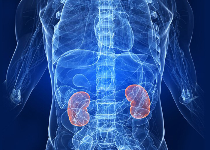Best Multi speciality Hospital in Rohtak,Best Multi speciality Hospital in Haryana,Best nephrology hospitals in Haryana,Best nephrology doctors in Haryana,Nephrology specialists in Haryana,Best nephrologists in Haryana,Nephrology treatments in Haryana,Gynaecology hospitals in Haryana,Best gynaecology hospitals in Haryana,Best Obstetrics and gynaecology hospitals in Haryana,Best Obstetrics and gynaecology doctors in Haryana,gynaecology treatments in Haryana,best Gynaecologists in Haryana,Best obstetric specialist in Haryana,High pregnancy risk specialists in Haryana,Polycyst Ovarian Disease treatments in Haryana,Prenatal and Antepartum Care in Haryana,Best Gynaecology Caesarean hospitals in Haryana,Premature Rupture treatments in Haryana,Vaginal Infections specialist in Haryana,Best general surgeons in Haryana,Best gallbladder laparoscopic surgeons in Haryana,Advanced Laparoscopic and General Surgery in Haryana,Laparoscopic Treatments in Haryana,Best urology hospitals in Haryana,Best urology doctors in Haryana,Urology specialists in Haryana,Urology treatments in Haryana,best kidney care transplant hospitals in Haryana,chronic kidney disease treatment hospitals in Haryana,kidney dialysis hospitals in Haryana,best kidney care doctors in Haryana,Renal transplantation in Haryana,Paediatrics specialists in Haryana,Children's paediatrics in Haryana,best children's hospitals in Haryana,best paediatric hospital in Haryana,best paediatric doctor in Haryana,best nicu centres in Haryana,best picu centres in Haryana,Best Pulmonologists  in Haryana,Best Pulmonology Hospitals in Haryana,Best Orthopaedicians in Haryana,best Knee Replacement surgeons in Haryana,best Total Hip Replacement in Haryana,Best arthritis doctor in Haryana,Cosmetic Surgery Clinics in Haryana,Best Plastic Surgeons in Haryana,Skin care treatments in Haryana,Cosmetology hospitals in Haryana,Gastroenterologists in Haryana,Best Gastroenterology Hospital in Haryana,Best Gastroenterology Doctors in Haryana,Best ENT clinics in Haryana,best ent specialists in Haryana,Emergency care hospitals in Haryana,Best hospital for critical and emergency care in Haryana,Best Hospital for Kidney Stone removal in Haryana,Best Hospital for infertility in Haryana,Best Hospital for prostate problems in Haryana,Best Hospital for renal implantation in Haryana,Best Hospital for kidney problems in Haryana,Best nephrology hospitals in Rohtak,Best nephrology doctors in Rohtak,Nephrology specialists in Rohtak,Best nephrologists in Rohtak,Nephrology treatments in Rohtak,Gynaecology hospitals in Rohtak,Best gynaecology hospitals in Rohtak,Best Obstetrics and gynaecology hospitals in Rohtak,Best Obstetrics and gynaecology doctors in Rohtak,gynaecology treatments in Rohtak,best Gynaecologists in Rohtak,Best obstetric specialist in Rohtak,High pregnancy risk specialists in Rohtak,Polycyst Ovarian Disease treatments in Rohtak,Prenatal and Antepartum Care in Rohtak,Best Gynaecology Caesarean hospitals in Rohtak,Premature Rupture treatments in Rohtak,Vaginal Infections specialist in Rohtak,Best general surgeons in Rohtak,Best gallbladder laparoscopic surgeons in Rohtak,Advanced Laparoscopic and General Surgery in Rohtak,Laparoscopic Treatments in Rohtak,Best urology hospitals in Rohtak,Best urology doctors in Rohtak,Urology specialists in Rohtak,Urology treatments in Rohtak,best kidney care transplant hospitals in Rohtak,chronic kidney disease treatment hospitals in Rohtak,kidney dialysis hospitals in Rohtak,best kidney care doctors in Rohtak,Renal transplantation in Rohtak,Paediatrics specialists in Rohtak,Children's paediatrics in Rohtak,best children's hospitals in Rohtak,best paediatric hospital in Rohtak,best paediatric doctor in Rohtak,best nicu centres in Rohtak,best picu centres in Rohtak,Best Pulmonologists  in Rohtak,Best Pulmonology Hospitals in Rohtak,Best Orthopaedicians in Rohtak,best Knee Replacement surgeons in Rohtak,best Total Hip Replacement in Rohtak,Best arthritis doctor in Rohtak,Cosmetic Surgery Clinics in Rohtak,Best Plastic Surgeons in Rohtak,Skin care treatments in Rohtak,Cosmetology hospitals in Rohtak,Gastroenterologists in Rohtak,Best Gastroenterology Hospital in Rohtak,Best Gastroenterology Doctors in Rohtak,Best ENT clinics in Rohtak,best ent specialists in Rohtak,Emergency care hospitals in Rohtak,Best hospital for critical and emergency care in Rohtak,Best Hospital for Kidney Stone removal in Rohtak,Best Hospital for infertility in Rohtak,Best Hospital for prostate problems in Rohtak,Best Hospital for renal implantation in Rohtak,Best Hospital for kidney problems in Rohtak
