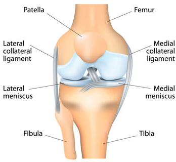 Best Orthopaedicians in Haryana,best Knee Replacement surgeons in Haryana,best Total Hip Replacement in Haryana,Best arthritis doctor in Haryana,Best Orthopaedicians in Rohtak,best Knee Replacement surgeons in Rohtak,best Total Hip Replacement in Rohtak,Best arthritis doctor in Rohtak
