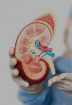 Best Multi speciality Hospital in Rohtak,Best Multi speciality Hospital in Haryana,Best nephrology hospitals in Haryana,Best nephrology doctors in Haryana,Nephrology specialists in Haryana,Best nephrologists in Haryana,Nephrology treatments in Haryana,Gynaecology hospitals in Haryana,Best gynaecology hospitals in Haryana,Best Obstetrics and gynaecology hospitals in Haryana,Best Obstetrics and gynaecology doctors in Haryana,gynaecology treatments in Haryana,best Gynaecologists in Haryana,Best obstetric specialist in Haryana,High pregnancy risk specialists in Haryana,Polycyst Ovarian Disease treatments in Haryana,Prenatal and Antepartum Care in Haryana,Best Gynaecology Caesarean hospitals in Haryana,Premature Rupture treatments in Haryana,Vaginal Infections specialist in Haryana,Best general surgeons in Haryana,Best gallbladder laparoscopic surgeons in Haryana,Advanced Laparoscopic and General Surgery in Haryana,Laparoscopic Treatments in Haryana,Best urology hospitals in Haryana,Best urology doctors in Haryana,Urology specialists in Haryana,Urology treatments in Haryana,best kidney care transplant hospitals in Haryana,chronic kidney disease treatment hospitals in Haryana,kidney dialysis hospitals in Haryana,best kidney care doctors in Haryana,Renal transplantation in Haryana,Paediatrics specialists in Haryana,Children's paediatrics in Haryana,best children's hospitals in Haryana,best paediatric hospital in Haryana,best paediatric doctor in Haryana,best nicu centres in Haryana,best picu centres in Haryana,Best Pulmonologists  in Haryana,Best Pulmonology Hospitals in Haryana,Best Orthopaedicians in Haryana,best Knee Replacement surgeons in Haryana,best Total Hip Replacement in Haryana,Best arthritis doctor in Haryana,Cosmetic Surgery Clinics in Haryana,Best Plastic Surgeons in Haryana,Skin care treatments in Haryana,Cosmetology hospitals in Haryana,Gastroenterologists in Haryana,Best Gastroenterology Hospital in Haryana,Best Gastroenterology Doctors in Haryana,Best ENT clinics in Haryana,best ent specialists in Haryana,Emergency care hospitals in Haryana,Best hospital for critical and emergency care in Haryana,Best Hospital for Kidney Stone removal in Haryana,Best Hospital for infertility in Haryana,Best Hospital for prostate problems in Haryana,Best Hospital for renal implantation in Haryana,Best Hospital for kidney problems in Haryana,Best nephrology hospitals in Rohtak,Best nephrology doctors in Rohtak,Nephrology specialists in Rohtak,Best nephrologists in Rohtak,Nephrology treatments in Rohtak,Gynaecology hospitals in Rohtak,Best gynaecology hospitals in Rohtak,Best Obstetrics and gynaecology hospitals in Rohtak,Best Obstetrics and gynaecology doctors in Rohtak,gynaecology treatments in Rohtak,best Gynaecologists in Rohtak,Best obstetric specialist in Rohtak,High pregnancy risk specialists in Rohtak,Polycyst Ovarian Disease treatments in Rohtak,Prenatal and Antepartum Care in Rohtak,Best Gynaecology Caesarean hospitals in Rohtak,Premature Rupture treatments in Rohtak,Vaginal Infections specialist in Rohtak,Best general surgeons in Rohtak,Best gallbladder laparoscopic surgeons in Rohtak,Advanced Laparoscopic and General Surgery in Rohtak,Laparoscopic Treatments in Rohtak,Best urology hospitals in Rohtak,Best urology doctors in Rohtak,Urology specialists in Rohtak,Urology treatments in Rohtak,best kidney care transplant hospitals in Rohtak,chronic kidney disease treatment hospitals in Rohtak,kidney dialysis hospitals in Rohtak,best kidney care doctors in Rohtak,Renal transplantation in Rohtak,Paediatrics specialists in Rohtak,Children's paediatrics in Rohtak,best children's hospitals in Rohtak,best paediatric hospital in Rohtak,best paediatric doctor in Rohtak,best nicu centres in Rohtak,best picu centres in Rohtak,Best Pulmonologists  in Rohtak,Best Pulmonology Hospitals in Rohtak,Best Orthopaedicians in Rohtak,best Knee Replacement surgeons in Rohtak,best Total Hip Replacement in Rohtak,Best arthritis doctor in Rohtak,Cosmetic Surgery Clinics in Rohtak,Best Plastic Surgeons in Rohtak,Skin care treatments in Rohtak,Cosmetology hospitals in Rohtak,Gastroenterologists in Rohtak,Best Gastroenterology Hospital in Rohtak,Best Gastroenterology Doctors in Rohtak,Best ENT clinics in Rohtak,best ent specialists in Rohtak,Emergency care hospitals in Rohtak,Best hospital for critical and emergency care in Rohtak,Best Hospital for Kidney Stone removal in Rohtak,Best Hospital for infertility in Rohtak,Best Hospital for prostate problems in Rohtak,Best Hospital for renal implantation in Rohtak,Best Hospital for kidney problems in Rohtak
